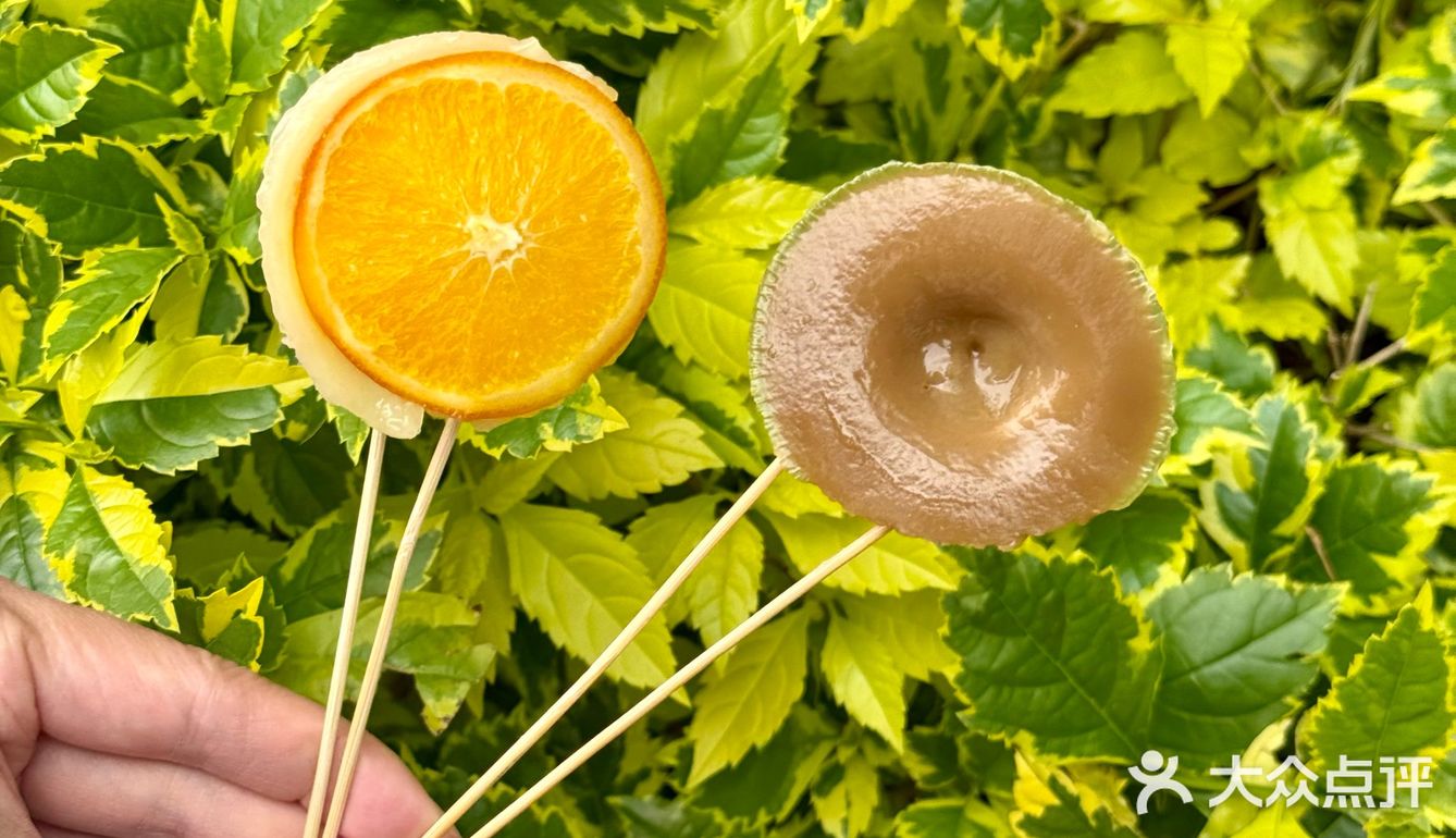 广州旅游最后一天被钵仔糕绑架了行李箱…