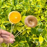 广州旅游最后一天被钵仔糕绑架了行李箱…