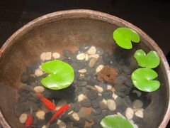 -曲水兰亭(北京四惠店)