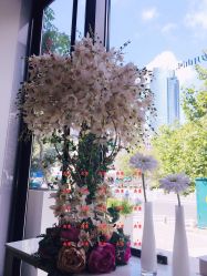 -Dr.U博士医疗美容医院