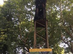 -徐家汇源景区-衡山公园