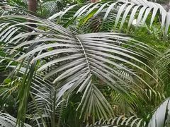 -黑龙江中医药大学附属第一医院