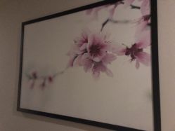 -时尚殿堂·颜SPA