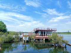 -贡湖湾湿地公园