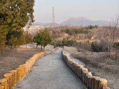 -白水寺森林公园