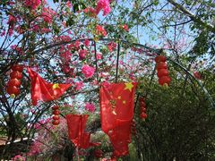 -广东花都香草世界旅游度假区