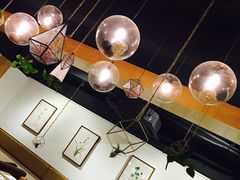 -柴务处·柴犬主题狗咖