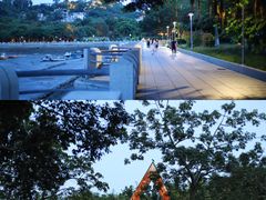 -鼓浪屿内厝澳码头(轮渡站)