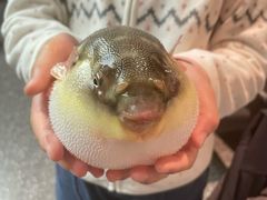 -永安鱼庄·镇江菜(东吴路店)