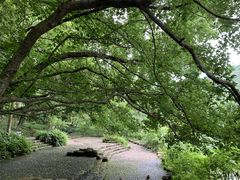 -广州市石门国家森林公园