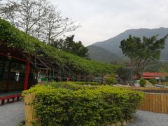 -牛鱼嘴原始生态风景区