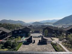 -大唐贡茶院