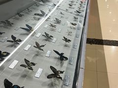 -郑州自然博物馆(惠济区)