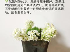 -福孕妈妈家政•月嫂育儿嫂保姆