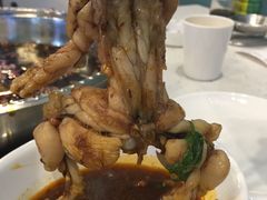 -麻辣巅峰美蛙鱼头火锅(犀浦店)
