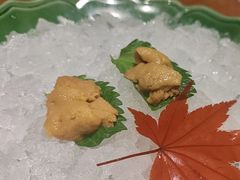 -月龍吟(朝龙汇店)