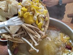 -菌极鲜野生菌火锅店(阳明祠店)
