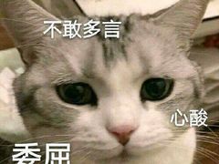 -王阿姨文昌油赞子(府桥街店)