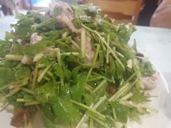 娃娃芹八鞘-华圆美食-老蓬莱菜(蓬港路店)