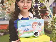 -金豆子幼稚园