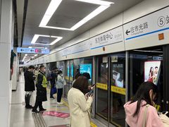 -东方体育中心(地铁站)