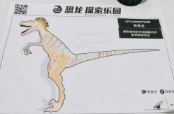 点击看大图 -恐龙探索乐园(磁器口店)