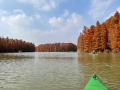 -上海海湾国家森林公园