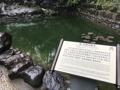 -诺水河