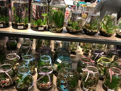 -酷乐潮玩(金桥国际店)