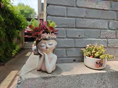 -庐灶江南·江南菜·四合院Bistro(东直门·华侨夜泊君亭店)