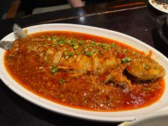 -陈麻婆豆腐总店