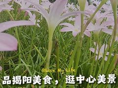 -揭阳钟记小食(福田新村店)