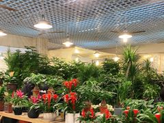 -双季花艺园艺市场(浦东店)