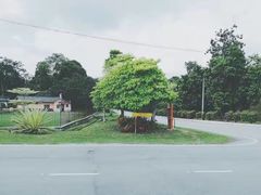 -瓜镇夜市