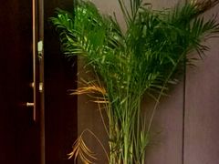 -小仙女采耳·按摩·SPA(深圳旗舰店)