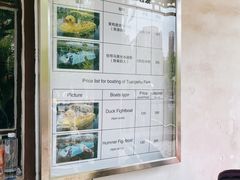 -团结湖公园