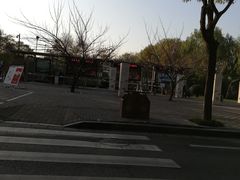 -唐城墙遗址公园