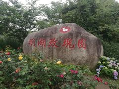 -鹅湖玫瑰文化园