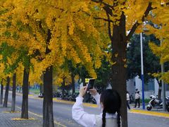 -西北农林科技大学(北校区)