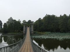 -东湖落雁景区