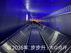 -白鹤梁水下博物馆