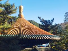 -潭柘寺景区