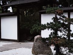 -新洲生态园