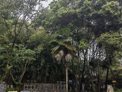 -土砂锅生态山庄·非遗砂锅雅鱼