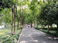 -西湖外事游船(花港观鱼码头)