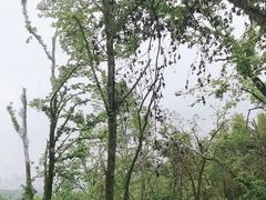 -润泽天·湘味家宴(岳麓山店)