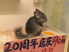 -龙猫仔乐园(惠福东路店)