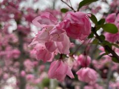 -UNIUNI(凯瑟琳广场店)