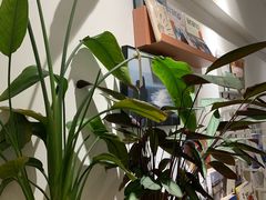 -隹木咖啡馆(宝龙广场店)