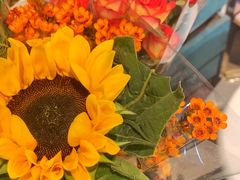 -循礼门鲜花花市(武汉循礼门店)